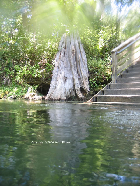 Peacock Spring header pool.